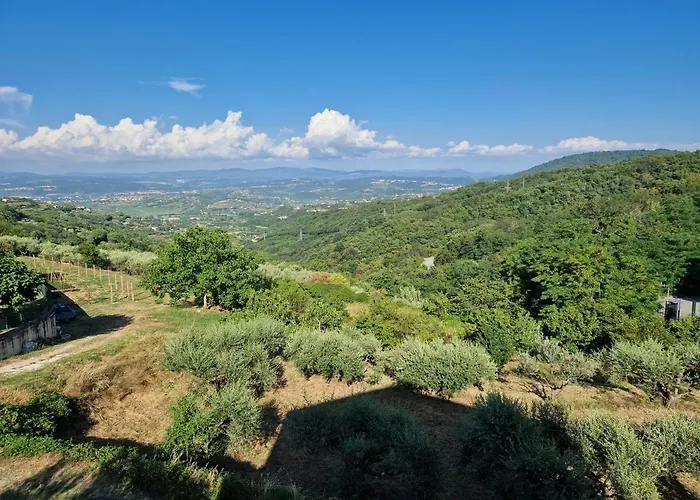 게스트하우스 Flora Gazon